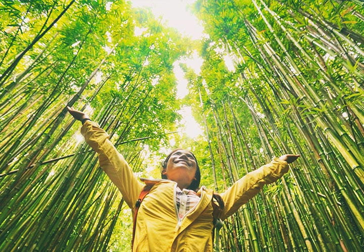 Sustainability_720x500