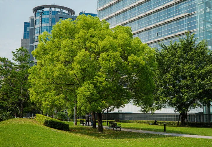 Trelleborg sustainability – green city landscape representing low-carbon society